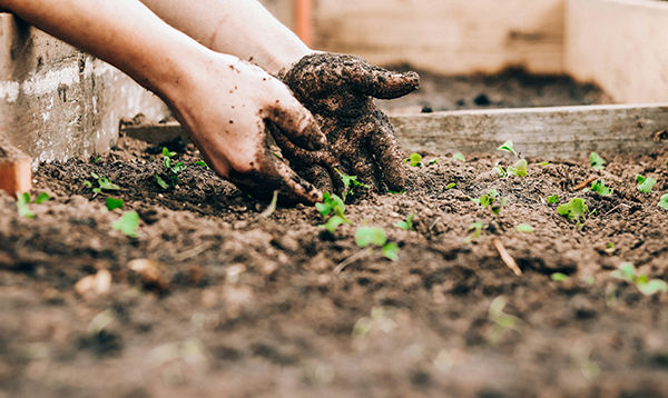 ひだまり農場　山田洋一